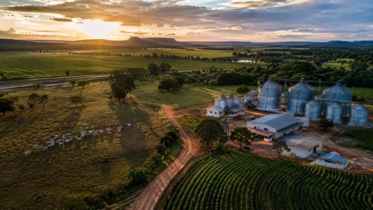 Integração entre agro e desenvolvimento regional no fortalecimento econômico de Roraima: Análise de Guilherme Silva Ribeiro Campos Guilherme Silva Ribeiro Campos